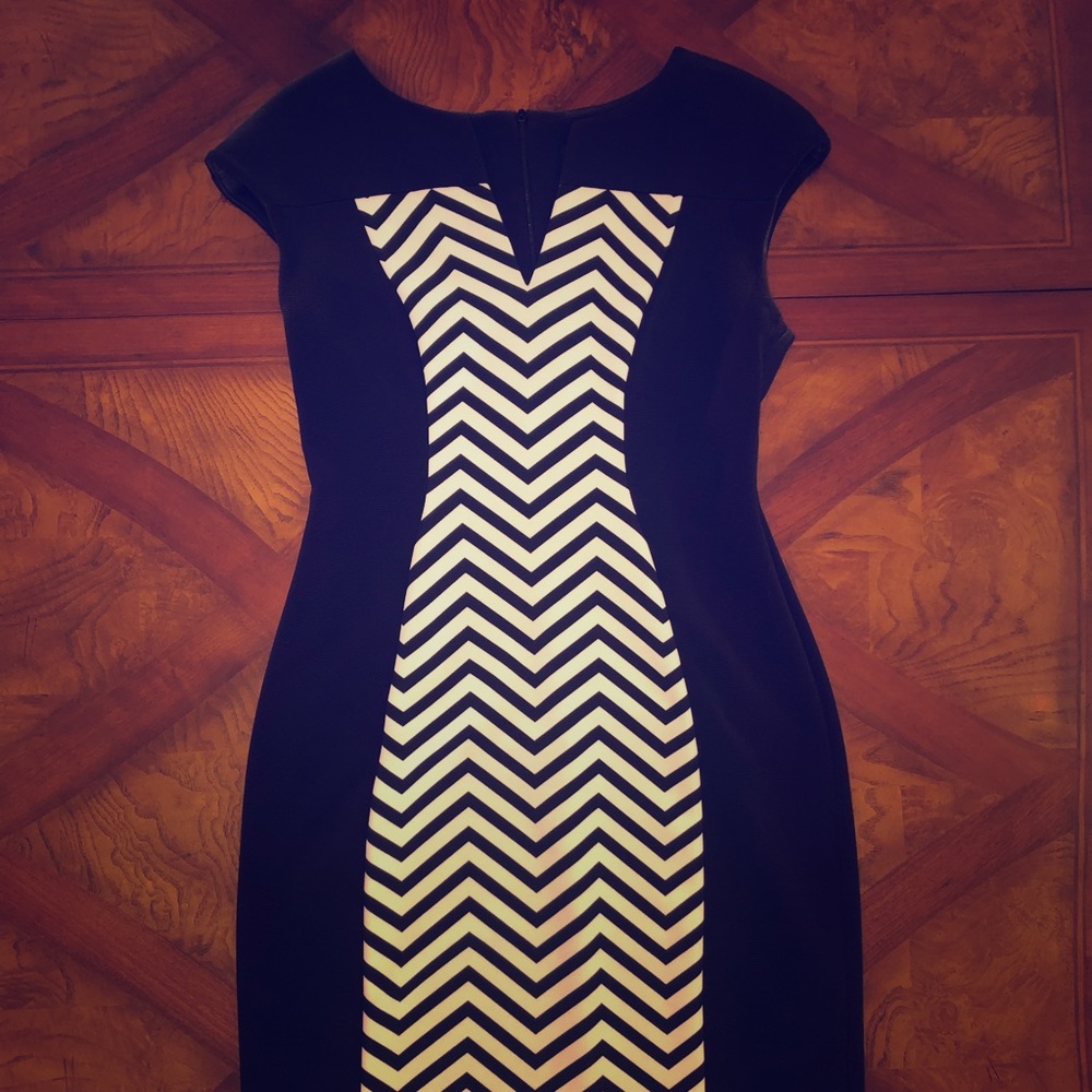 Classy black and white dress! Perfect condition!